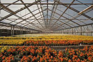 Creeer-een-dromerige-kinderkamer-met-landschapsfotobehang-4948726