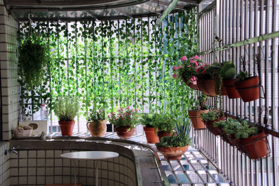 Verander-je-balkon-in-een-stedelijk-jungleoase-pexels_5010712